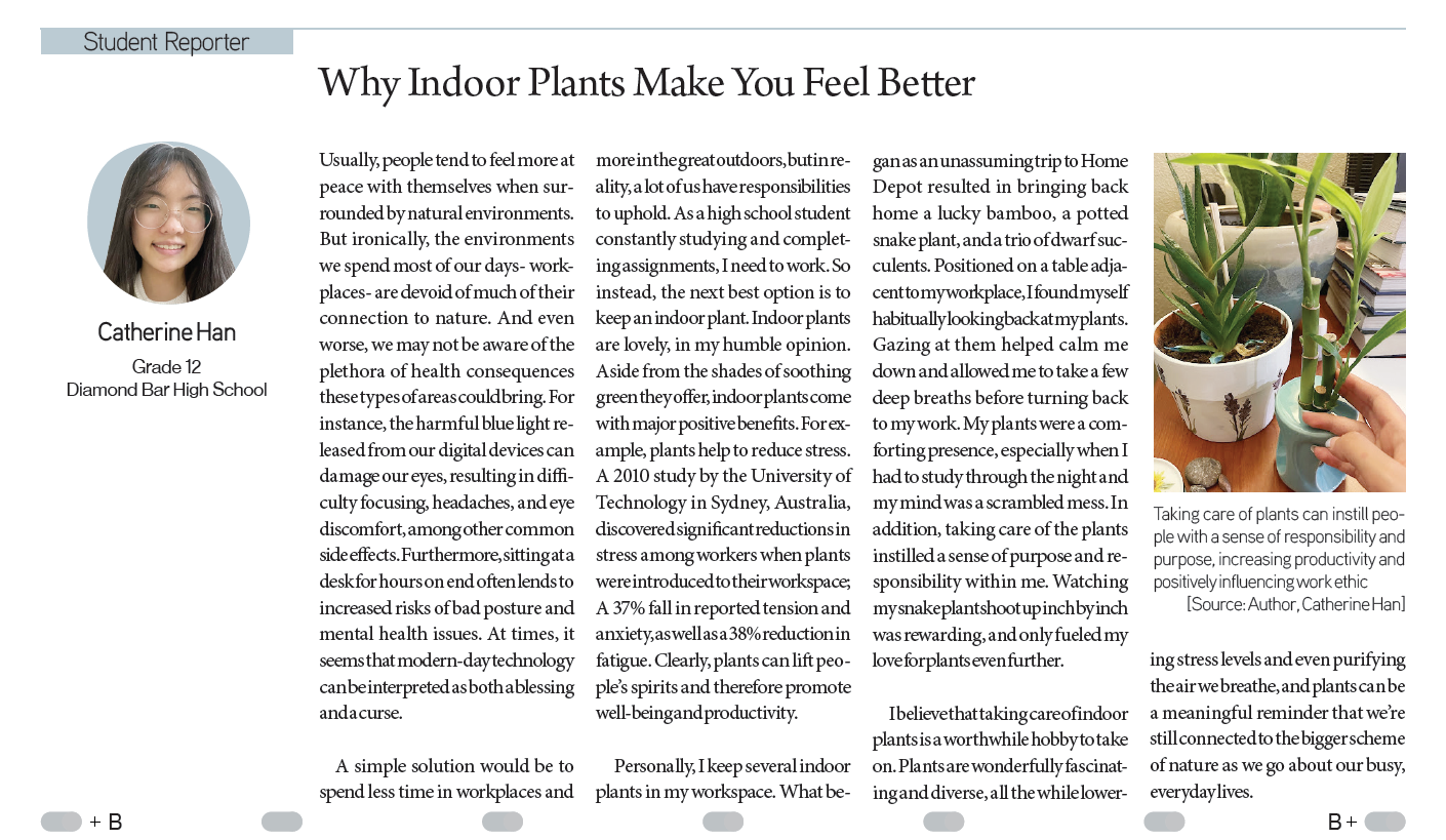 [KD Student Reporters] Why Indoor Plants Make You Feel Better The