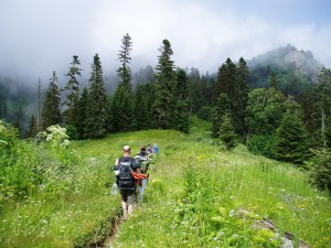 Borjomi_Kharaguli_National_Park_-_Georgia_(5)