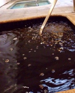 Mugwort bath of Olympic spa in Koreatown