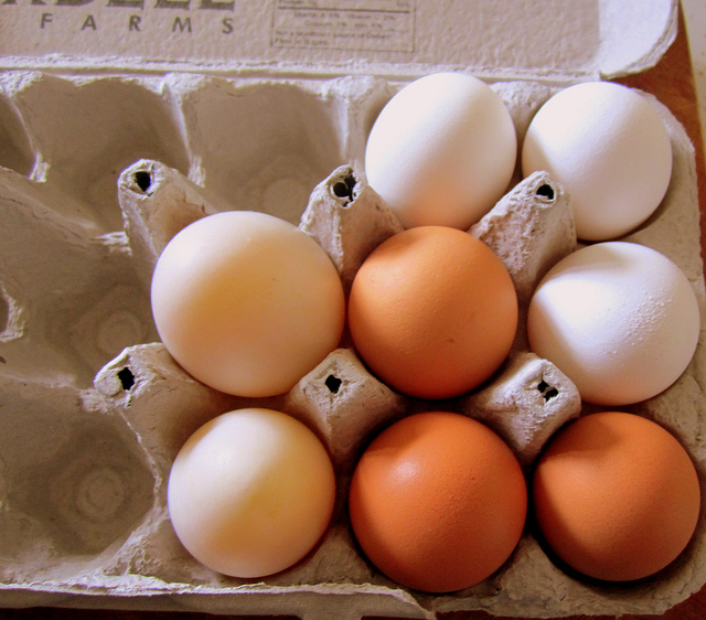 eggg