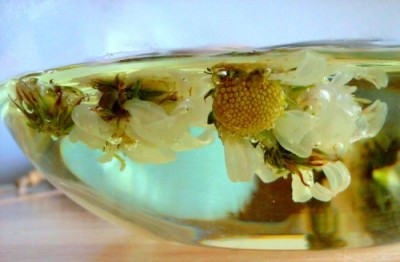 Chrysanthemum Flower Tea