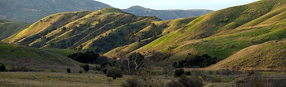 Chino Hills State Park © 2012, California State Parks. [Photo by Brian Baer]