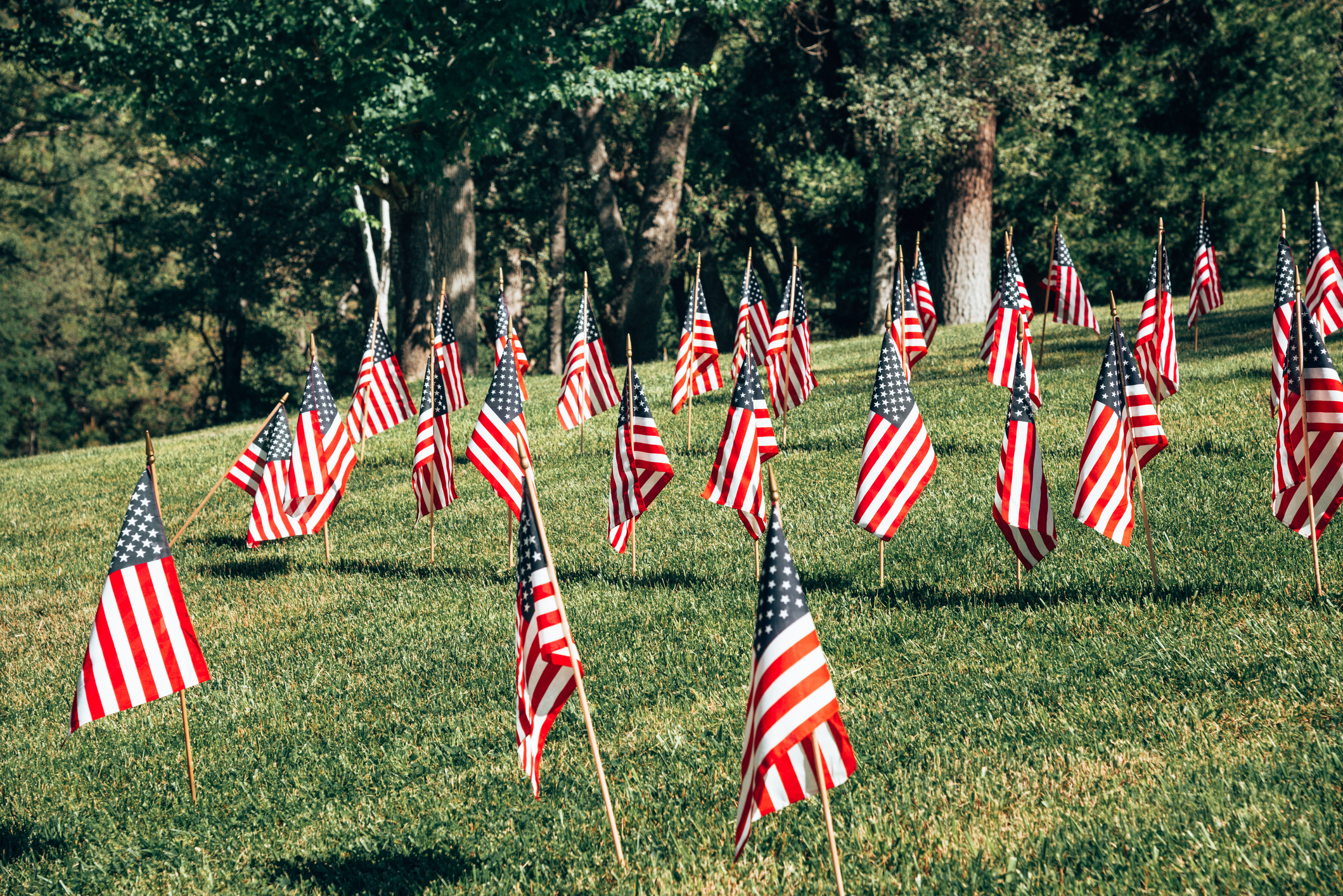 Memorial Day travel forecast with several US flags on grass