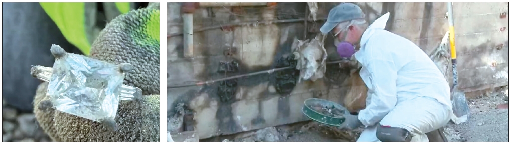 LA wildfire volunteer search showing a 4-carat diamond ring recovered from burned home debris and Jasper Randall searching with a metal detector