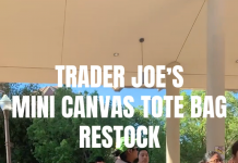 Trader Joe’s Mini Canvas Tote Bag Restocked