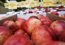 Is Your Salad Toxic? PFAS in Produce Found Across California PFAS in Produce